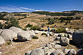 Woman on a hiking tour, Hiking trip with a donkey in the Cevennes mountains, Cevennen, France