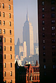 High-rise buildings and view to Empire State Building, Manhattan, New York, USA, America