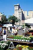 City scenery, Union Square Green Market, Union Square, Manhattan, New York, USA, America