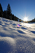 Schnee mit Raureif (Rauhreif) und Heuberg, Hochries, Chiemgau, Oberbayern, Bayern, Deutschland