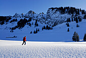 Skitourgeherin im Pulverschnee, Allgäuer Alpen, Bayern, Deutschland