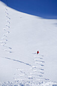 Skifahrerin bei der Abfahrt im Pulverschnee, Kleinwalsertal, Allgäuer Alpen, Vorarlberg, Österreich