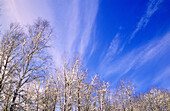 Winter skies. Warren. Ontario. Canada