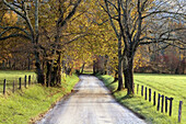 Sparks Lane at Cades Cove, Southern Appalachian autumn scenic. Great Smoky Mountains NP, TN, USA