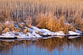 Grasses and remnant snow reflected in Robinson Creek. Sudbury. Ontario, Canada