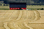 Red barn and mowing patterns. Olds. Alberta