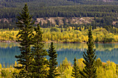 Abraham Lake at Preacher s Point along the David Thompson Highway. Alberta