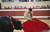 Bullfighting. Spain