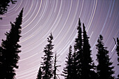 Star trails. Glacier National Park. Montana. USA