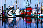 Commercial fishing boats at dawn. Charleston Boat Basin. Oregon. USA