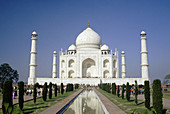 Taj Mahal. Agra. India