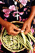 Vendors of spices. El Salvador