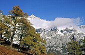 Picos de Europa National Park. Cantabria. Spain