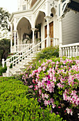 Azalea blossoms and Victorian homes. Savannah. Georgia. USA