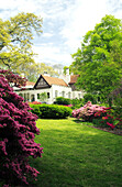 Spring Azalea gardens at the Callenwolde Arts Center. Atlanta, Georgia. USA