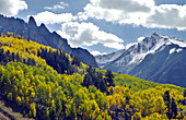 Fall foliage on Highway 145 near Lizard Head Pass in southern Colorado, USA.