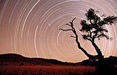 Star trails. Namib-Naukluft Park. Namib Desert. Namibia