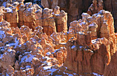 Bryce Canyon National Park. Utah. USA