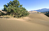 Great Sand Dunes National Monument. Colorado. USA