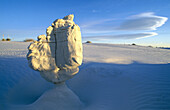 Erosion sculpture. White Sands National Monument. New Mexico. USA.