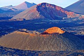 Timanfaya National Park. Lanzarote, Canary Islands. Spain