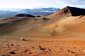 Timanfaya National Park. Lanzarote, Canary Islands. Spain