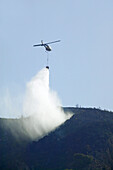 Helicopter water bomber drenching a forest fire