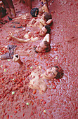 The tomatina festival. Bunyol. Valencia province, Spain
