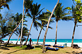 Palm beach, The Sands, at Nomad, Diani Beach, Kenya