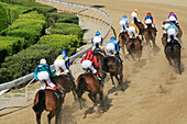 Jockeys riding race horses at a horse race, Nicosia, Lefkosia, South Cyprus, Cyprus