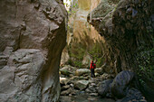 Person hiking through Avakas Gorge, Akamas Nature Reserve Park, South Cyprus, Cyprus