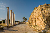 Antike Gymnasium, Palästra mit Säulen, Ruinen, Archaeologie, Antike Stadt von Salamis, Nordzypern, Zypern