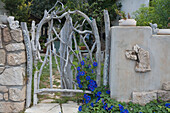Decorative gate with morning glory flowers, Ipomoea violacea, Lempa, near Pafos, South Cyprus, Cyprus