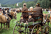Traditional horse day near Rottach Egern, Upper Bavaria, Bavaria, Germany