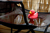 Rainy day, rubber duck in a puddle of water on a chair, Berlin, Germany