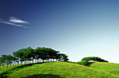 Country landscape. Mexico