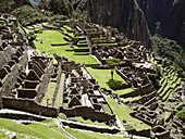 Machu Picchu. Peru.