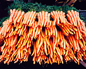 Fresh carrots from the Taman Safari (Safari Park). Java Island (Puncak). Indonesia