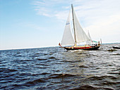 Sailboat in Chesapeake Bay. Maryland. USA