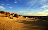 Doñana National Park. Huelva province, Spain