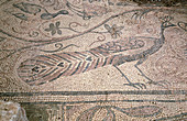 Mosaic at Es Fornàs Early Christian basilica. Torrelló, Maó. Minorca, Balearic Islands. Spain