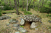 Cornudella-Dolmen. Bosque de Transás. Pirineo Aragonés. Provinz Huesca. Spanien