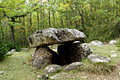 Cornudella-Dolmen. Bosque de Transás. Pirineo Aragonés. Provinz Huesca. Spanien