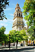 Minaret tower of the Great Mosque. Córdoba. Spain