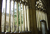 Cloister of cathedral. Segovia. Spain