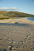 Punta Paloma Beach. Tarifa. Cadiz province. Andalusia. Spain