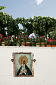 Religious image and flowerpots, Aracena. Huelva province, Andalusia, Spain
