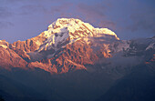 Annapurna south (7273m). Nepal