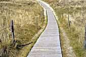 Path across dunes on Spiekeroog island, north Germany