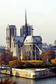Aerial view of Notre Dame. Paris. France